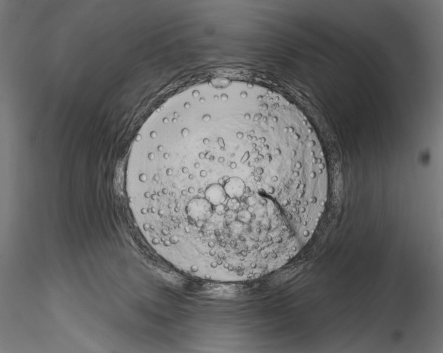 X0000115170083200912091033