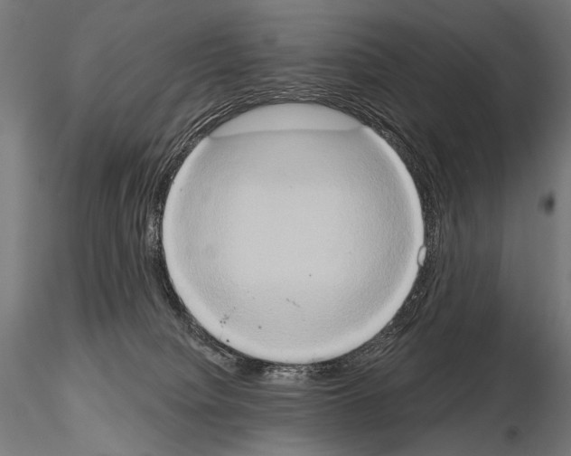 X0000115170084200912091033