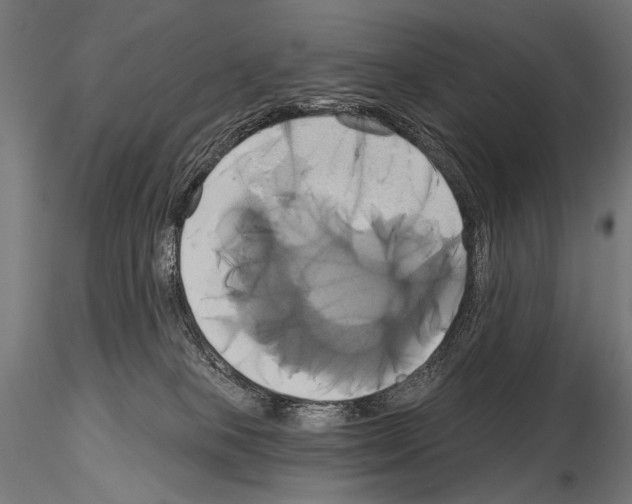 X0000115170085200912091033