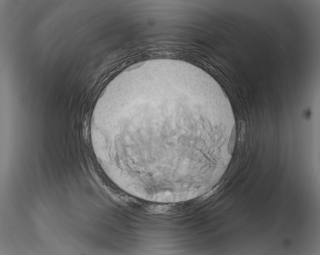 X0000115170086200912091033