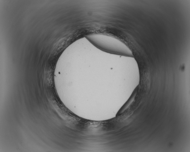 X0000115170088200912091033