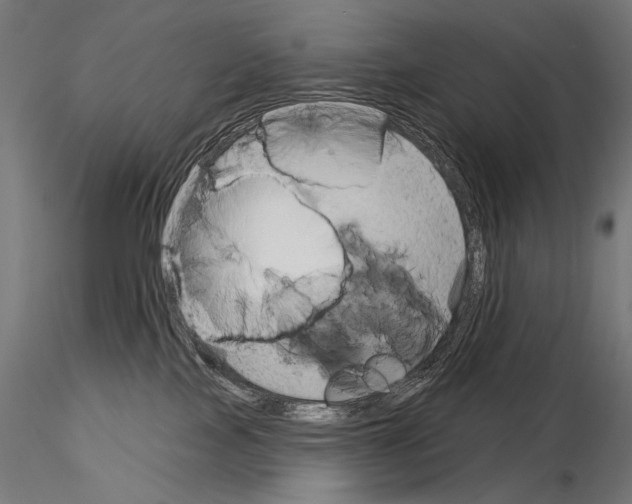 X0000115170089200912091033