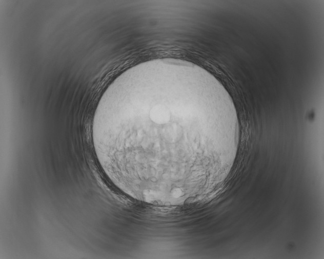 X0000115170090200912091033