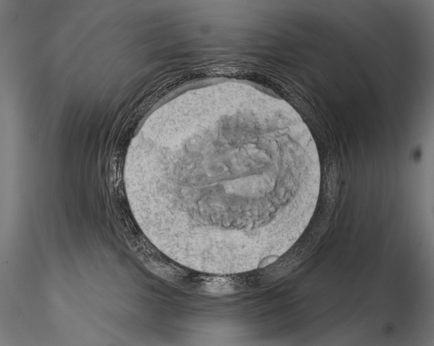 X0000115170091200912091033