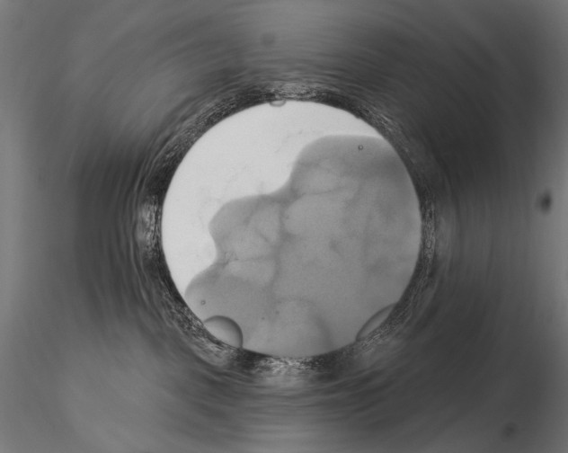 X0000115170093200912091033