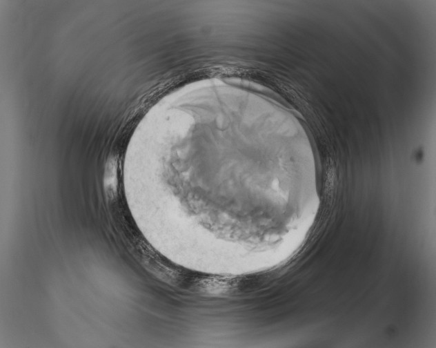 X0000115170094200912091033