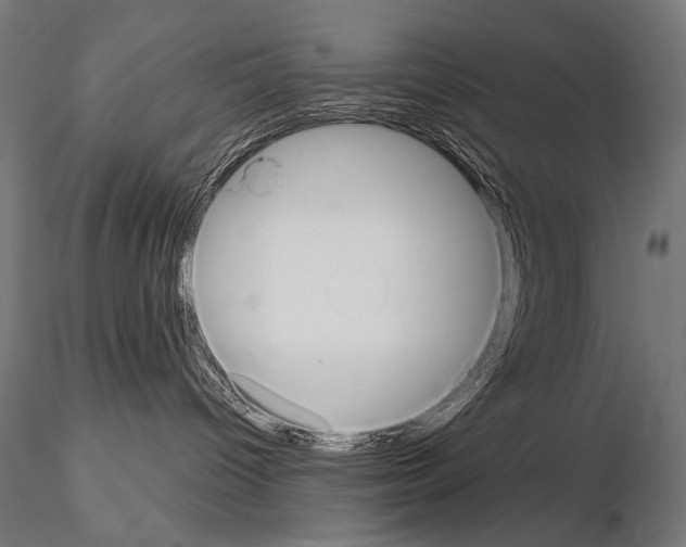 X0000115170096200912091033