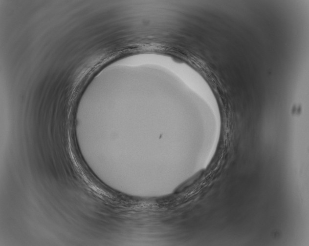 X0000115170097200912091033