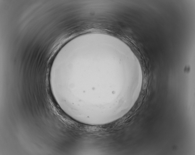 X0000115170098200912091033