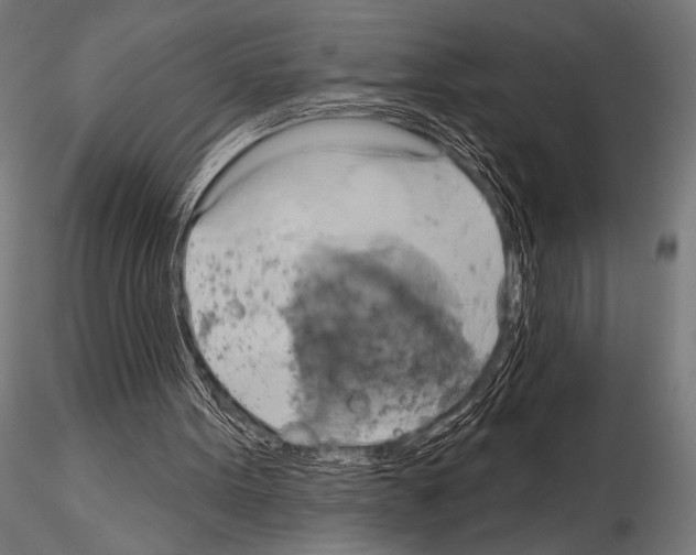 X0000115170099200912091033