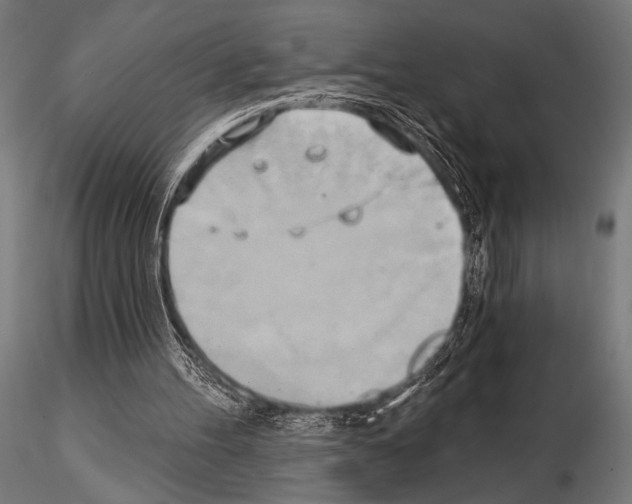 X0000115170100200912091033