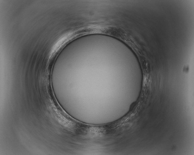 X0000115170101200912091033