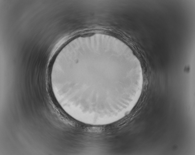 X0000115170102200912091033