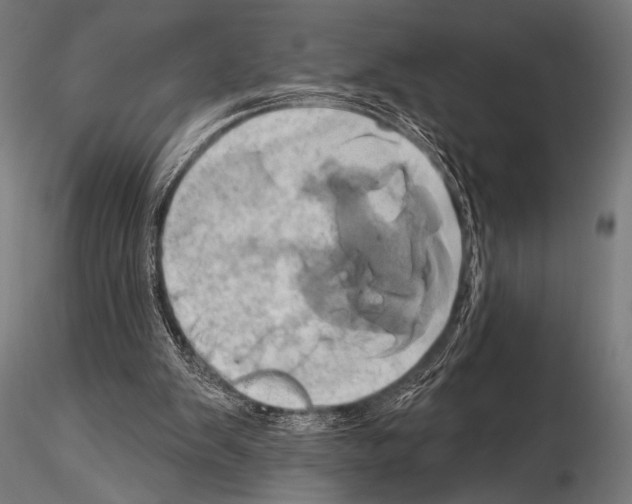 X0000115170103200912091033