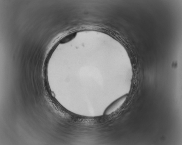 X0000115170104200912091033