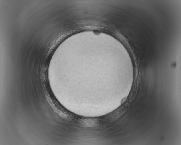 X0000115170106200912091033