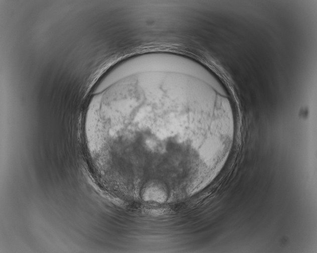 X0000115170107200912091033