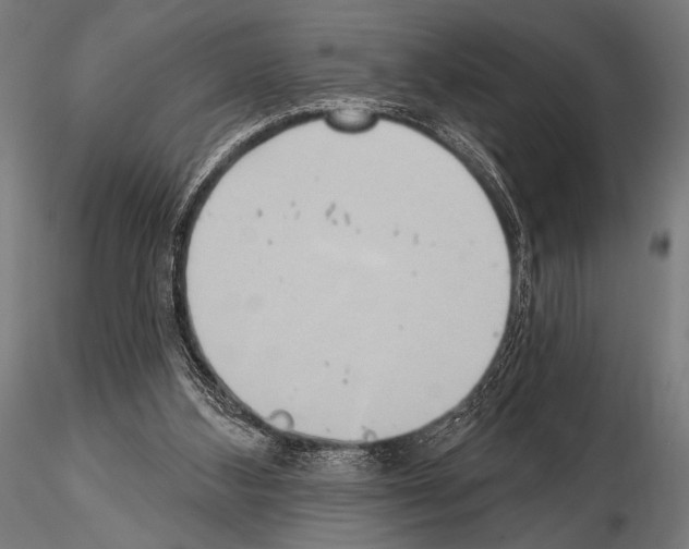 X0000115170108200912091033