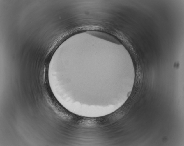 X0000115170110200912091032