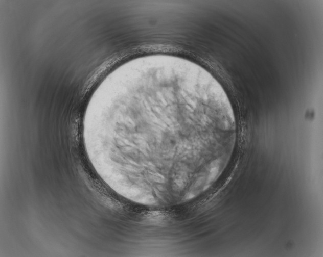 X0000115170111200912091032