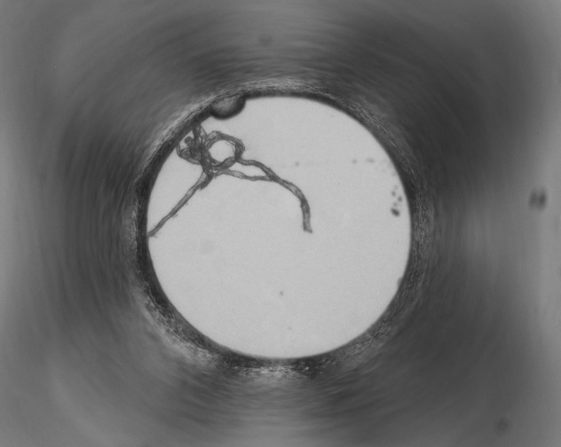 X0000115170112200912091032