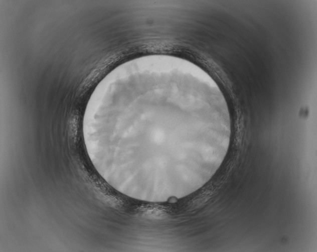 X0000115170113200912091032