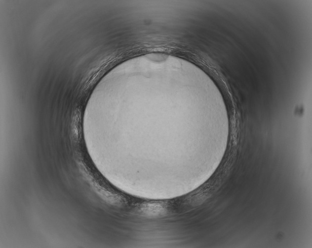 X0000115170114200912091032