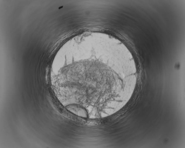 X0000115170115200912091032