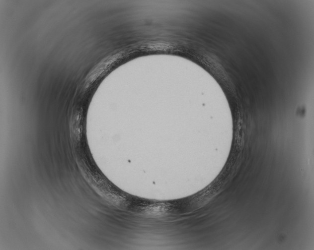 X0000115170116200912091032