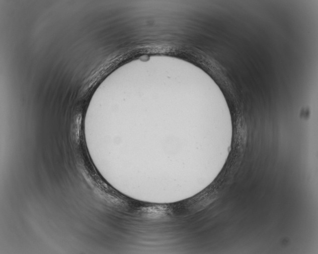 X0000115170118200912091032