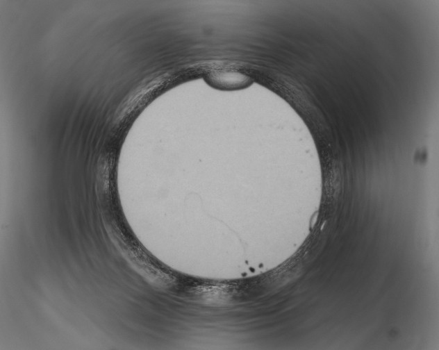 X0000115170120200912091032