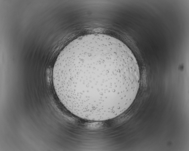 X0000115170122200912091032