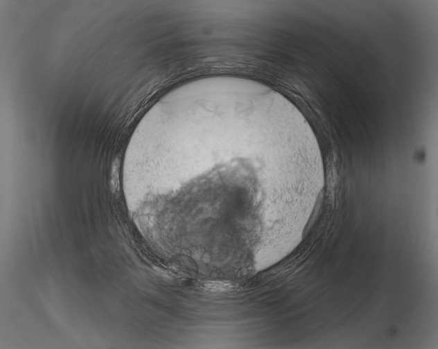 X0000115170123200912091032