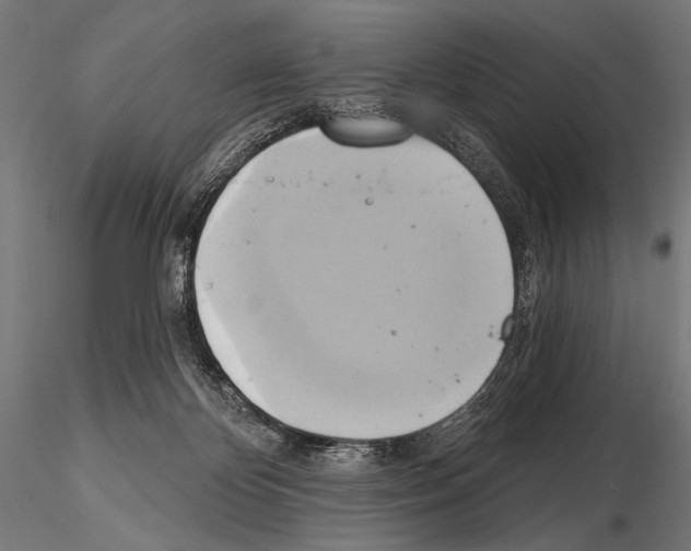 X0000115170124200912091032