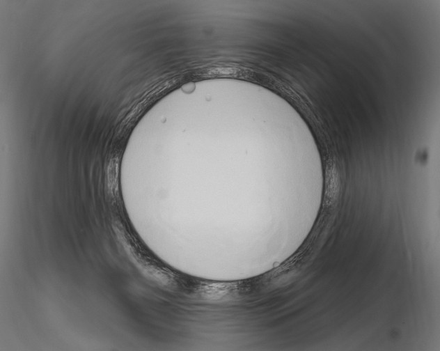 X0000115170126200912091032