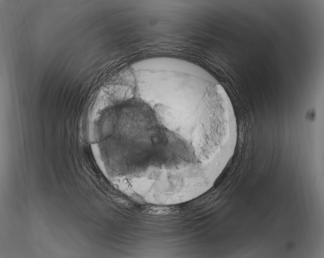 X0000115170127200912091032