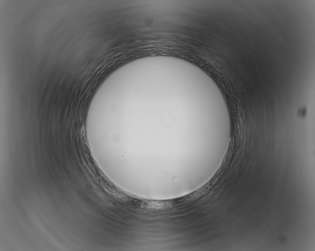 X0000115170129200912091032