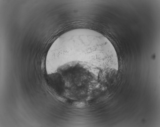 X0000115170131200912091032