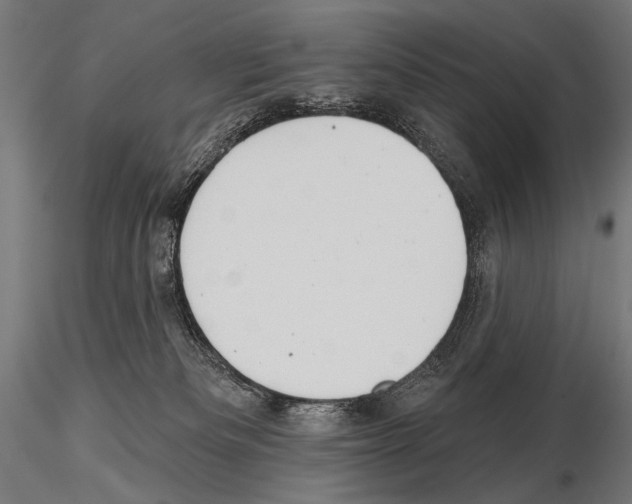 X0000115170133200912091032