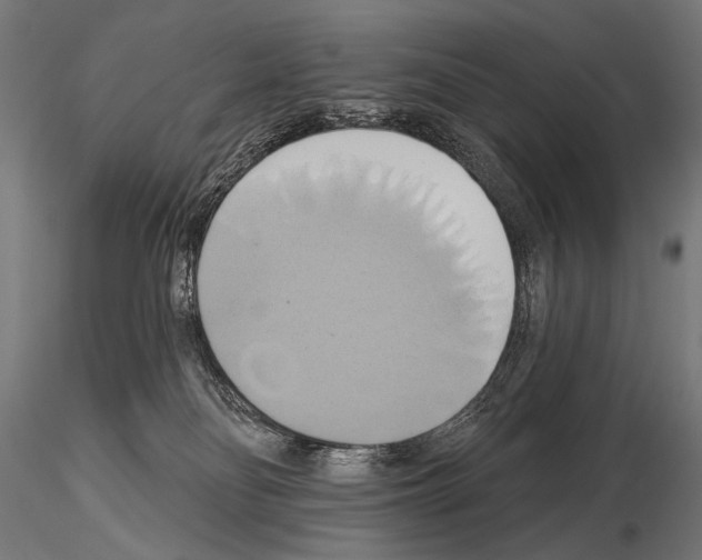 X0000115170134200912091032