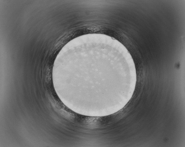 X0000115170136200912091032