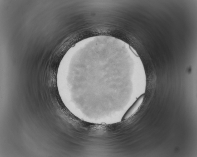 X0000115170140200912091032