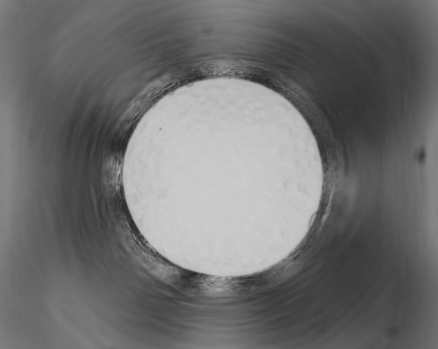 X0000115170142200912091032