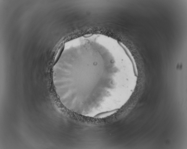 X0000115170144200912091032