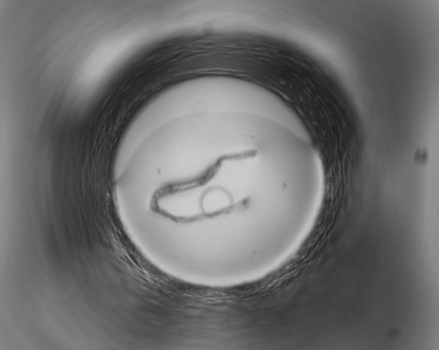 X0000115170146200912091031