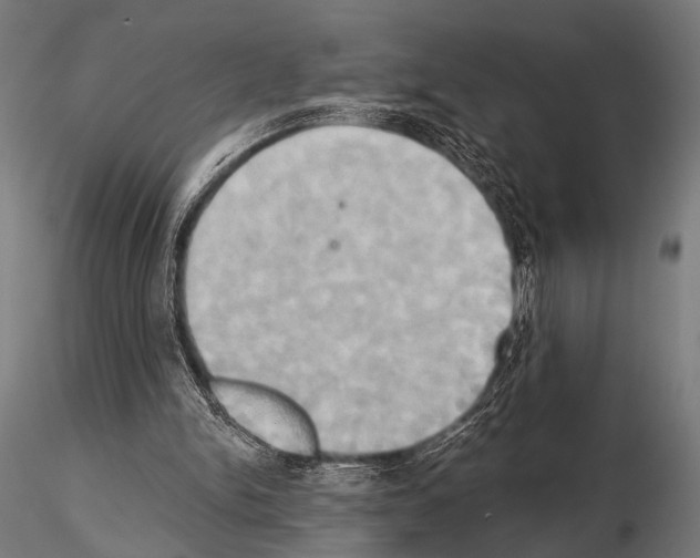 X0000115170150200912091031