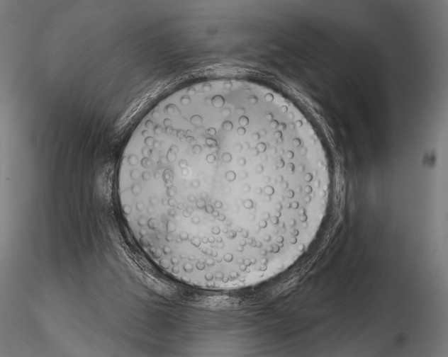 X0000115170153200912091031