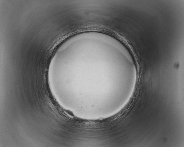 X0000115170154200912091031