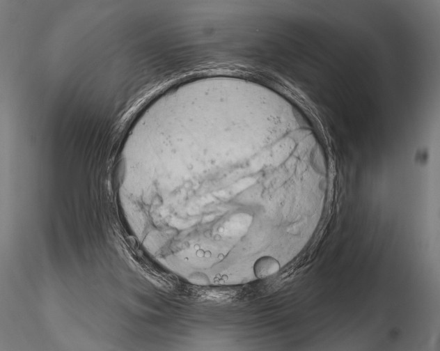 X0000115170155200912091031