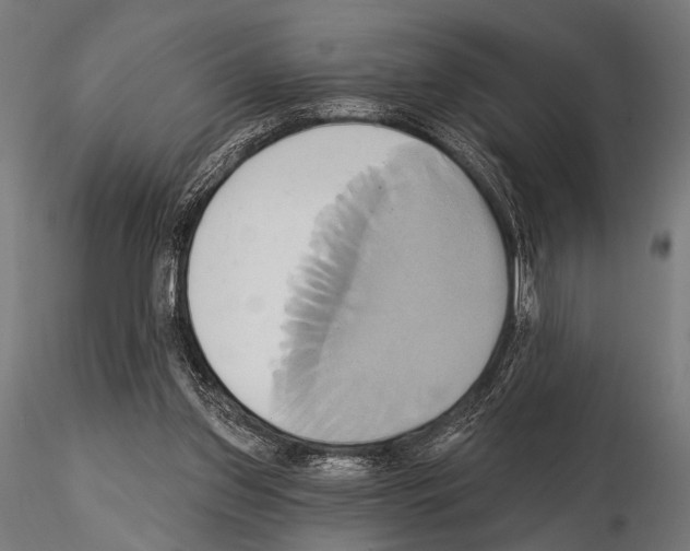 X0000115170157200912091032